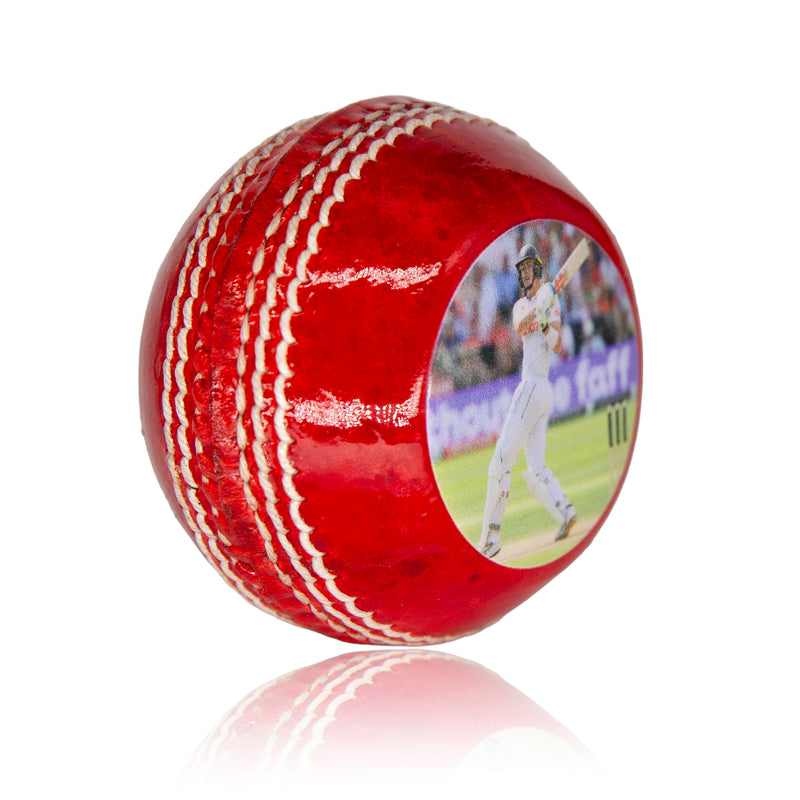 Personalised Photo or Logo Cricket Ball