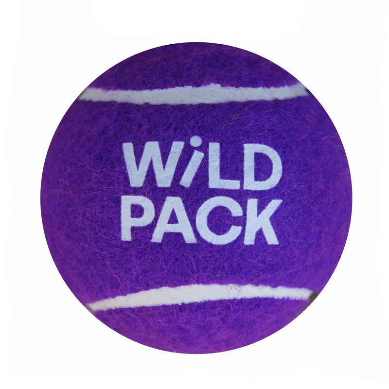 Custom Tennis Balls - Dog Balls