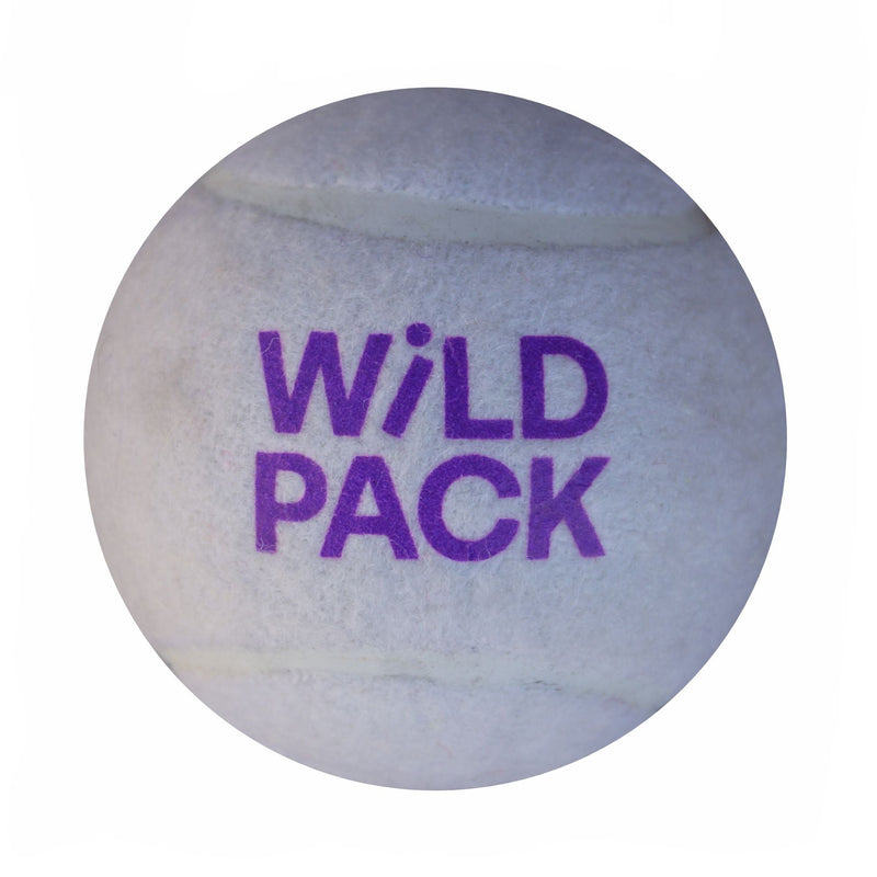 Custom Tennis Balls - Dog Balls