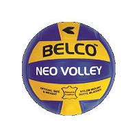 Custom Branded Volleyball - Pasted