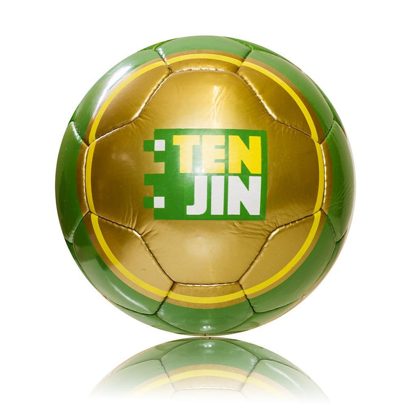 Standard Promotional Footballs - 26 Panel