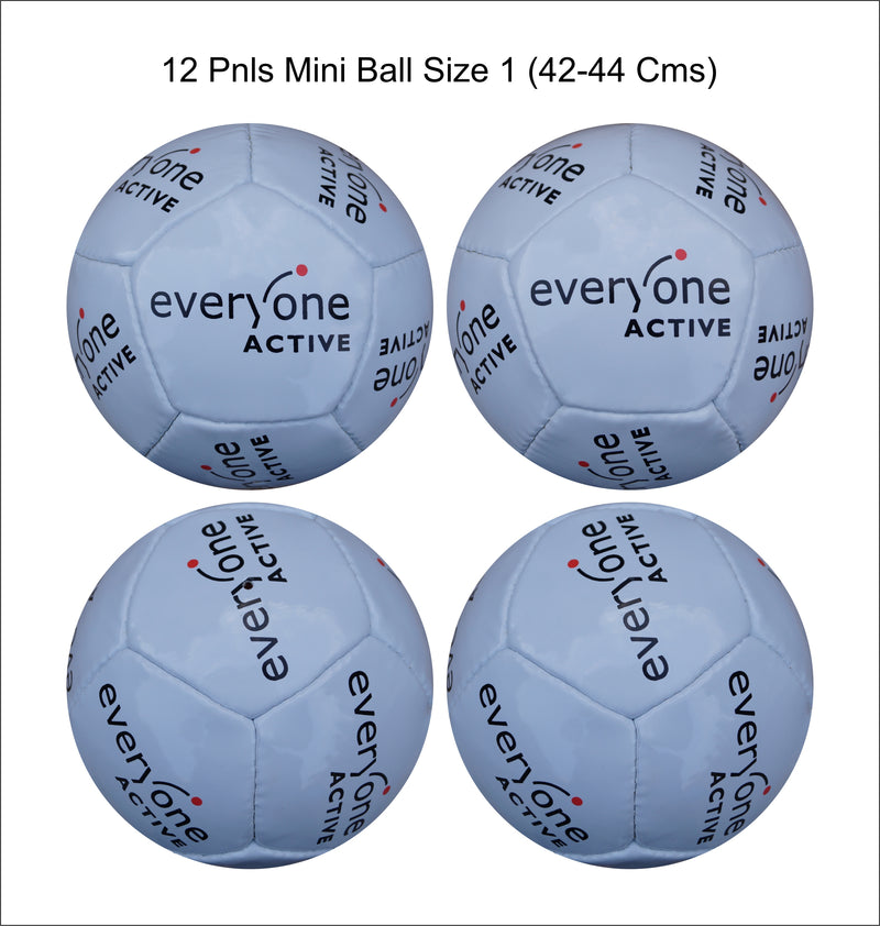 Custom Football Ball - 12 Panel Size 1 PVC 'Everyone Activ'