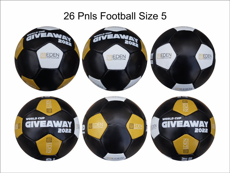 Custom Football Ball - 28 Panel Size 5 PVC 'Eden'