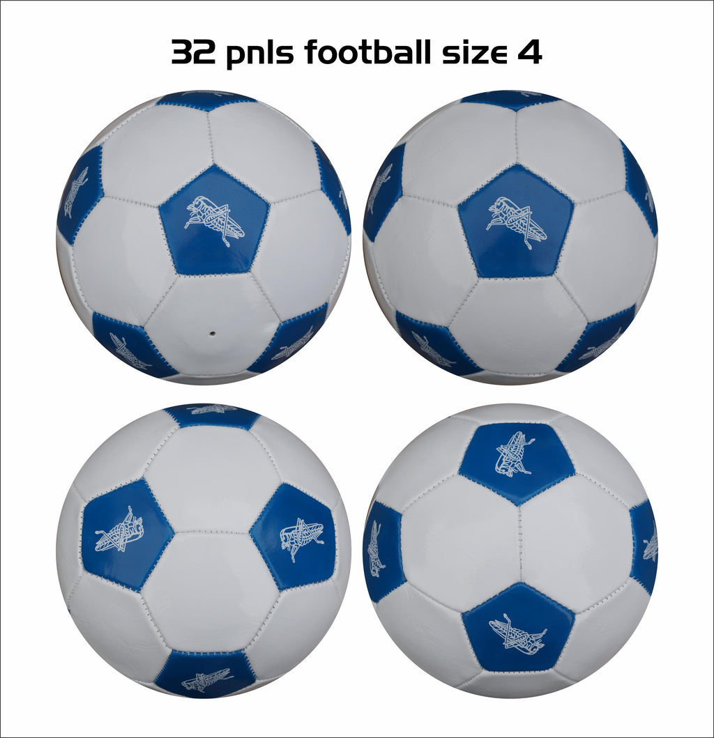 Custom Football Ball - 32 Panel Size 4 PVC 'Grasshoppers'