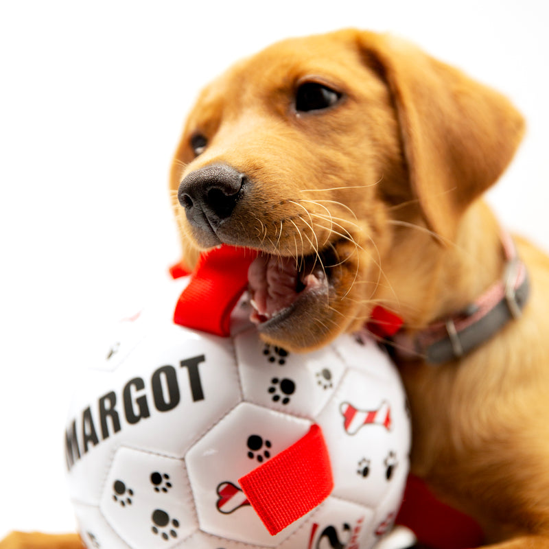 Personalised Dog Football Ball - With Dog Tug Straps