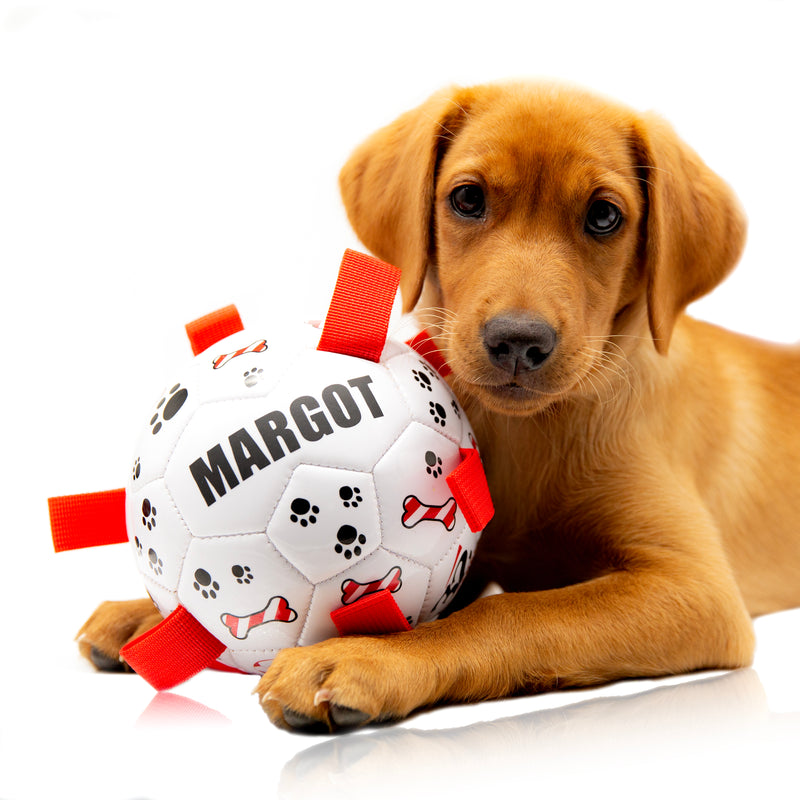 Personalised Dog Football Ball - With Dog Tug Straps