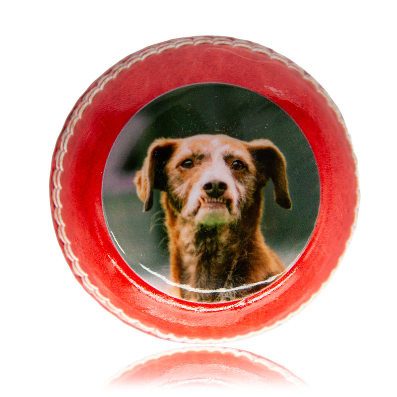 Personalised Photo Cricket Ball