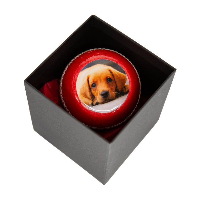 Personalised Photo Cricket Ball
