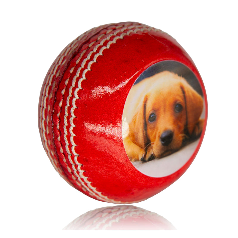 Personalised Photo Cricket Ball