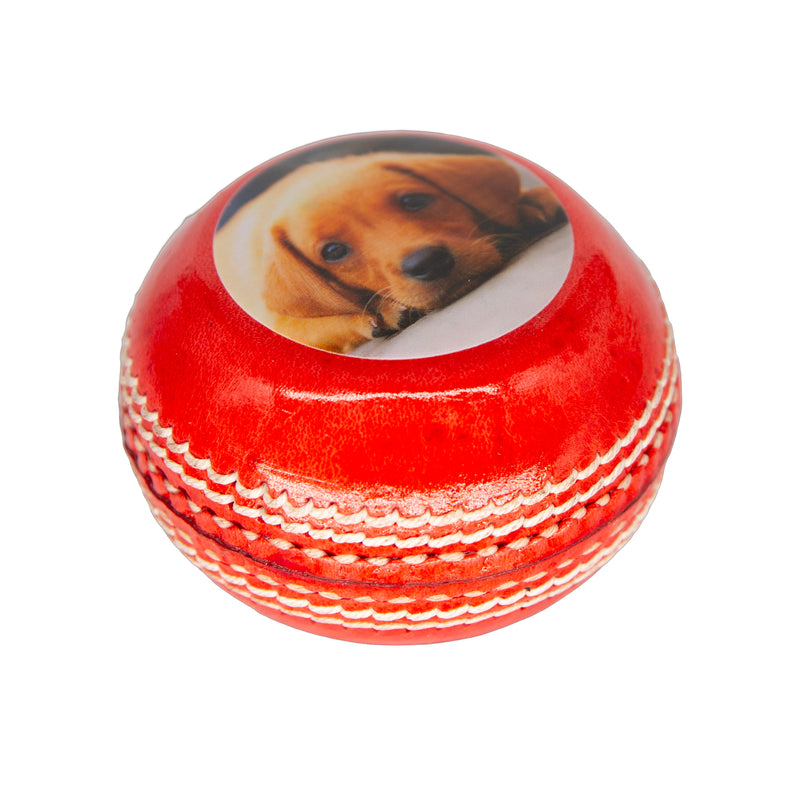 Personalised Photo Cricket Ball