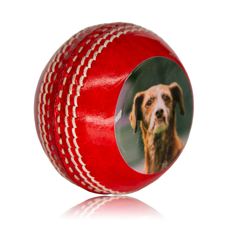 Personalised Photo Cricket Ball