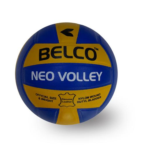Custom Branded Volleyball - Pasted